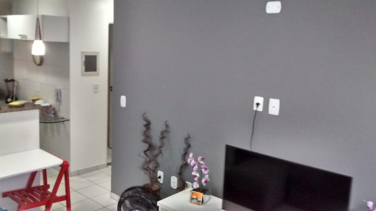 Apartamento De Temporada Em Edf Vicenzza Apartamento